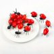 thumbnail image 5 of 120 Pack Ant Food Fruit Decoration Forks Ant Shaped Forks Snack Cake Dessert Home Kitchen Party, 5 of 5