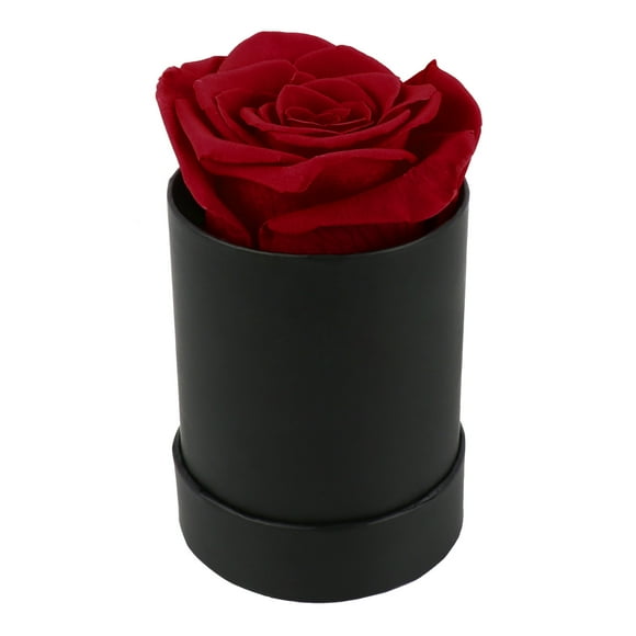 Mini Hug Bucket Preserved Flowers Small Flower Bucket Round Immortal Floral Arrangement Box