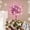 Pink, variant on Luxspire Christmas Tree Topper, 3D Star Lighted Tree Topper, Christmas Decorations, Plug in Christmas Tree Topper with Timer,Champagne Gold