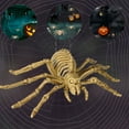 thumbnail image 4 of (4) Halloween Spider Skeleton, 10-in. Creepy Realistic Crawling Bone Collection Spiders Haunted House Patio Yard Props Home Office Party Decor DIY Supplies & CUSTOM Storage Carrier, 4 of 7