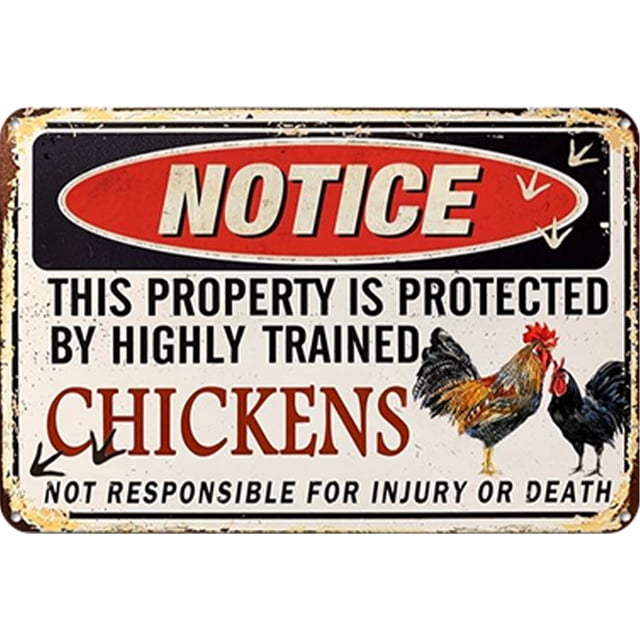 Placa Metal Vintage Pared Con Pintura Hierro Rectangular Advertencia Pollos 30x20cm