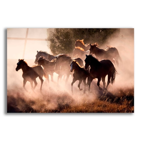 Epic Art 'Horses' by Lisa Dearing, Acrylic Glass Wall Art, 24"x16"