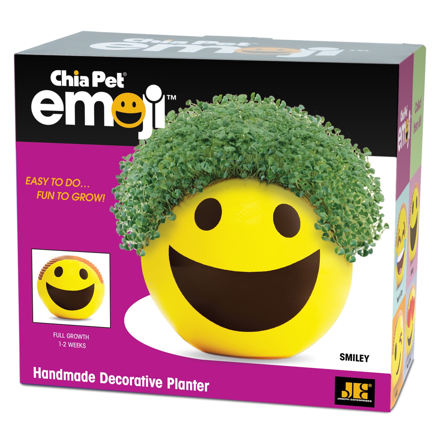 chia pet bob ross walmart