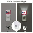 Daiia USA Canada Flag Pattern Plugin LED Backlit Night Light with