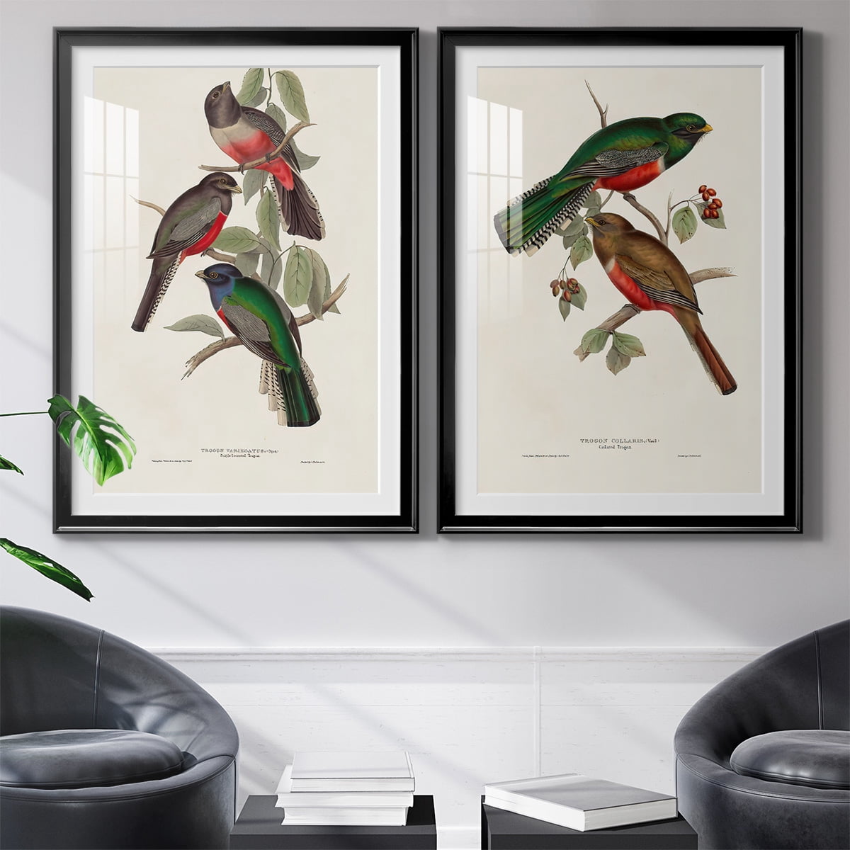 Wexford Home Elegant Trogons V Premium Framed Print, 22.5" x 30.5" - Ready to Hang, Black (Set of 2)