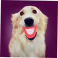 thumbnail image 3 of IFANLANDOR Jouet pour Chiens Chiots Silicone Blanc pour Fête 3 Pcs, 3 of 4