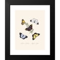 thumbnail image 2 of Edward Donovan 19x24 Black Modern Framed Museum Art Print Titled - An Epitome of the Natural History of the Insects of New Holland, New Zealand Pl.18 (1805), 2 of 5