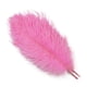 thumbnail image 3 of 10 piezas/lote de plumas de avestruz naturales de color rosa rojo para manualidades, decoración de bodas, fiestas, accesorios, centro de mesa, carnaval, 3 of 5