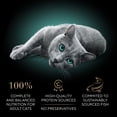 thumbnail image 4 of Sheba Perfect Portions Variety Pack Cuts In Gravy Cat Food, 2.6 Oz Twin-Pack Trays (24 Count), 4 of 11