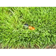 Quick-Snap Buried Sprinkler 2-Pack