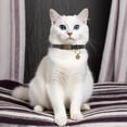 thumbnail image 4 of Unique Bargains Cat Collar Adjustable Breakaway Feature PU Cat Collar Breakaway with Bell Black, 4 of 7