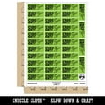 thumbnail image 2 of Croc Rock On Crocodile Teacher Student School Sticker Set - Light Green - Gloss Finish - 1.5" Small, 2 of 7