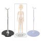 thumbnail image 1 of Soporte de Pantalla de 25-38cm Yotijar Acero Inoxidable Plata + Blanco, 1 of 8