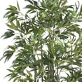 thumbnail image 4 of 6' Bamboo Silk Tree, Green Trunks, 4 of 7