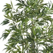 6 Bamboo Silk Tree, Green Trunks