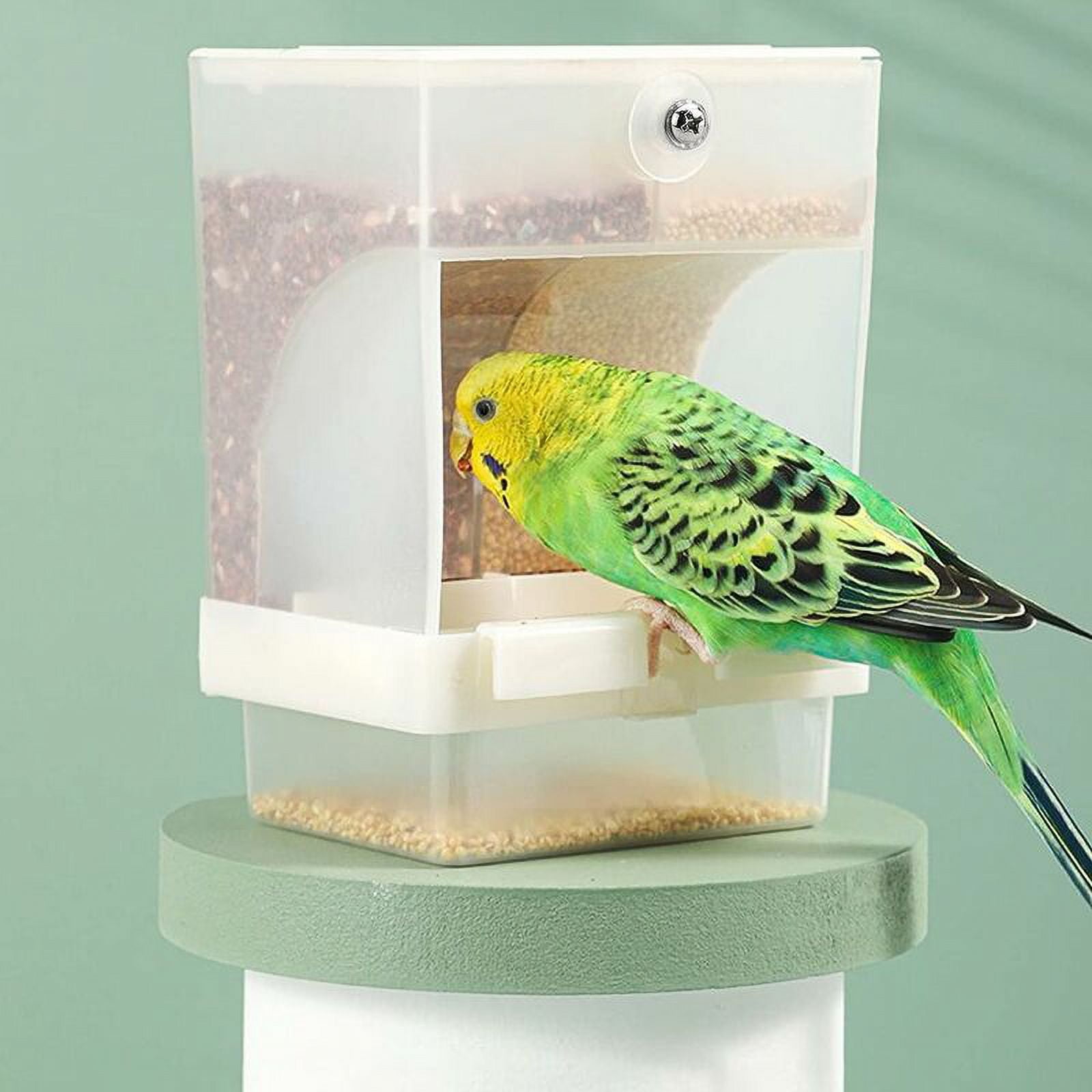 Automatic pet bird feeder 2025