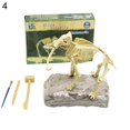 thumbnail image 4 of EIGTHTAIL Dinosaur Skeleton Excavation Dig up Kit DIY Assembly Educational Kids Toy Display Mold, 4 of 9