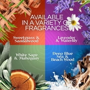 Air Wick Vibrant Plug-In Scented Oil Air Freshener Warmer Refills, Harvest Pumpkin and Spice, 2 Count