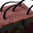 thumbnail image 6 of 2pcs Skin Model, 35X Skin and Hair Structure Enlarge Model Anatomical Model Anatomy for Science Classroom Study Display, 6 of 7