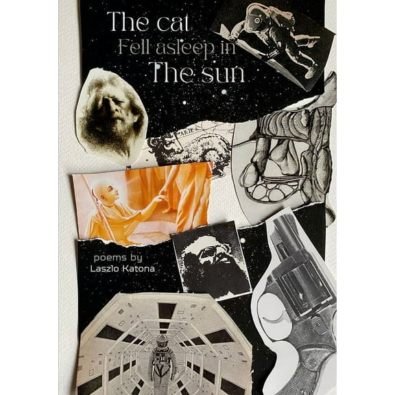 The cat fell asleep in the sun, (Paperback)