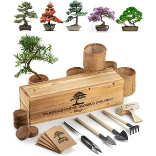 Bonsai Starter Kit - DIY Bonsai Gardening Gift - Garden Hobbies