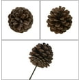 thumbnail image 3 of Pine Cones for Christmas Tree,Happon 8-10cm Christmas Natural Pine Cones,10 Pieces Pinecone Picks Christmas Tree Ornament for Christmas Tree Home Party Decoration Supplies, 3 of 7