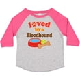 thumbnail image 3 of Inktastic Bloodhound Loved by a (dog Breed) Boys or Girls Toddler T-Shirt, 3 of 5