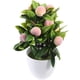 thumbnail image 2 of Árbol frutal artificial en maceta realista, simulación de mesa, decoración de plantas frutales, planta artificial en maceta, 2 of 7