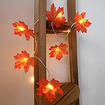 Fall Thanksgiving Maple Leaves 30 LED Light Lamp Garland Festival Decor Charming 