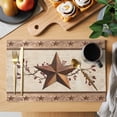 thumbnail image 2 of Farmhouse Texas Star Brown Placemats Set of 4, Berry Vintage Wooden Placemats for Dining Table, Place Mats for Kitchen Tabletop, Waterproof Wipeable Dining Table Mats Set, 2 of 9