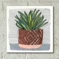thumbnail image 6 of Epic Art 'Potted Agave II' by Stellar Design Studio, Acrylic Glass Wall Art, 12"x12", 6 of 8