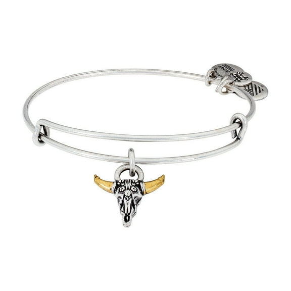 Alex And Ani Spirited Skull Charm Bangle Rafaelian Silver Finish A17EBSPSRS