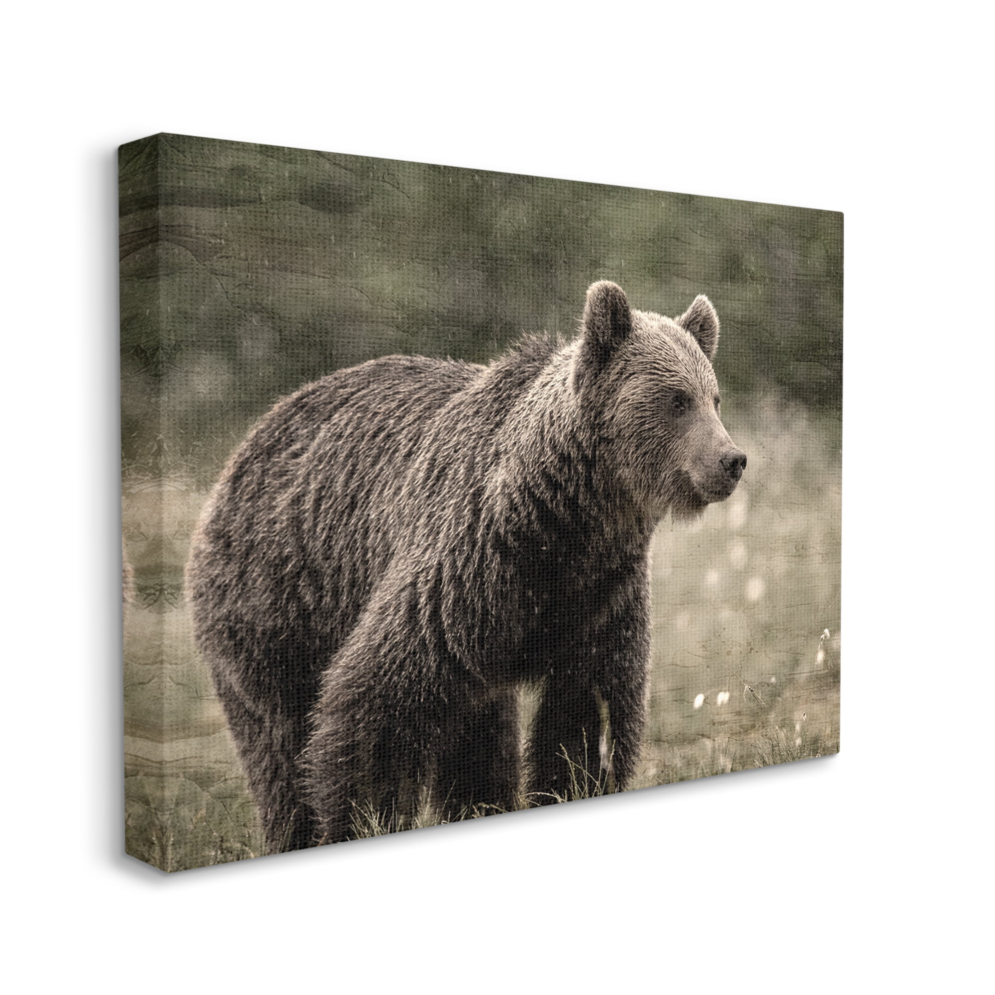Stupell Industries Brown Bear Wildlife Animals & Insects Painting Gallery Wrapped Canvas Art Print Wall Art, 48 x 36