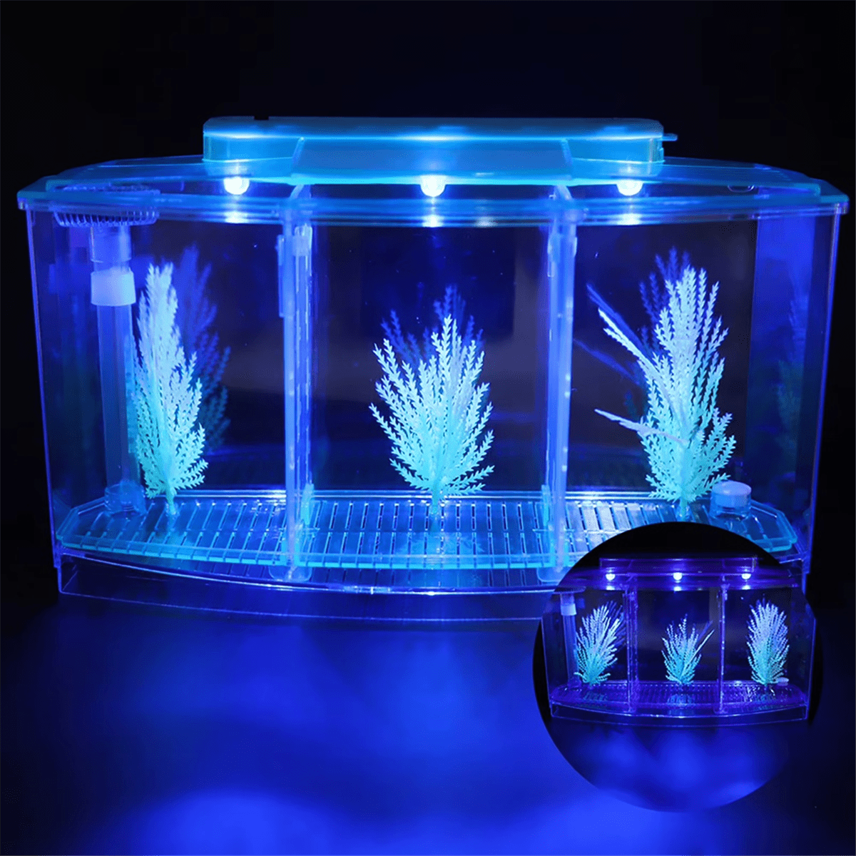 Mini Breeding Fish Tank Aquarium Fish Tank LED Acrylic Three Divisions Breeding Isolation Box for Small Fishes Blue
