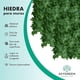 thumbnail image 2 of Rollo Follaje Artificial Muro Verde 3mtrs X 3mtrs Enredadera Sky Green HJFV33050000, 2 of 6