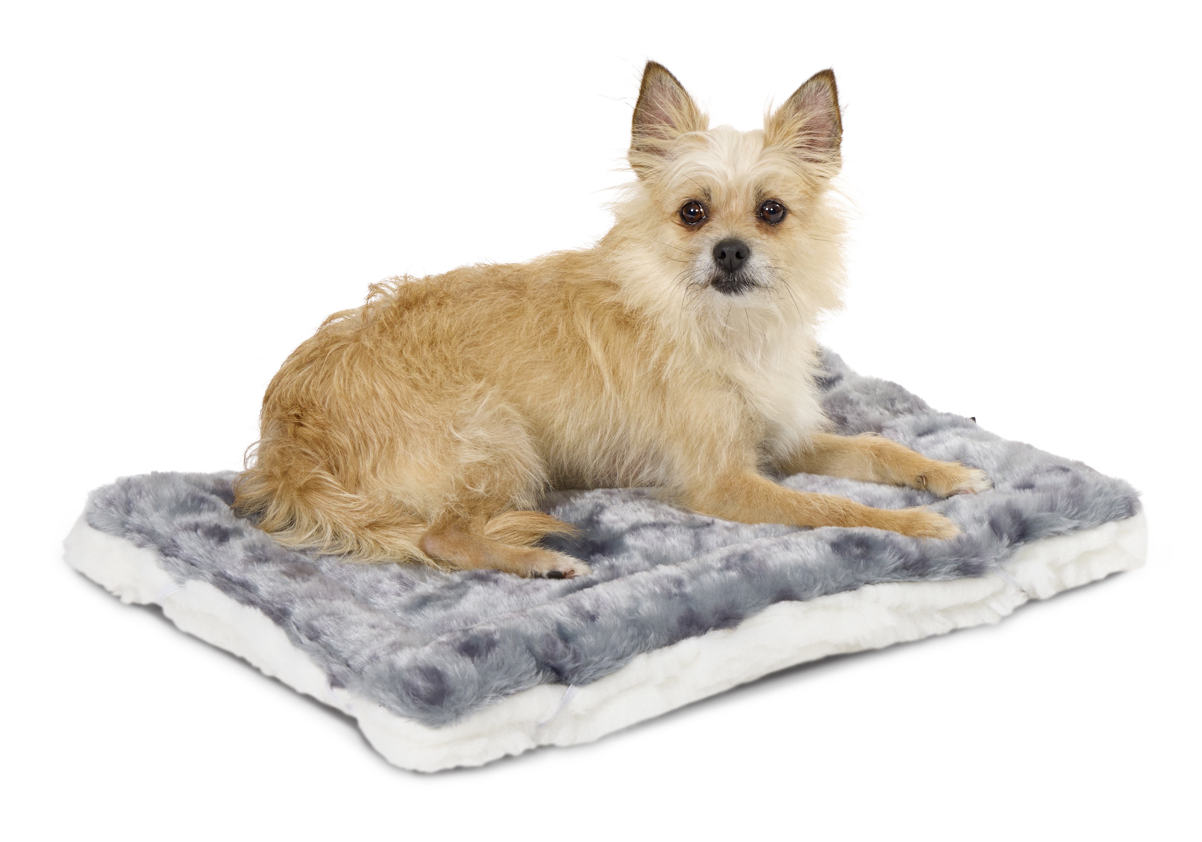 MidWest Homes for Pets Reversible Spotted Pet Bed photo 2
