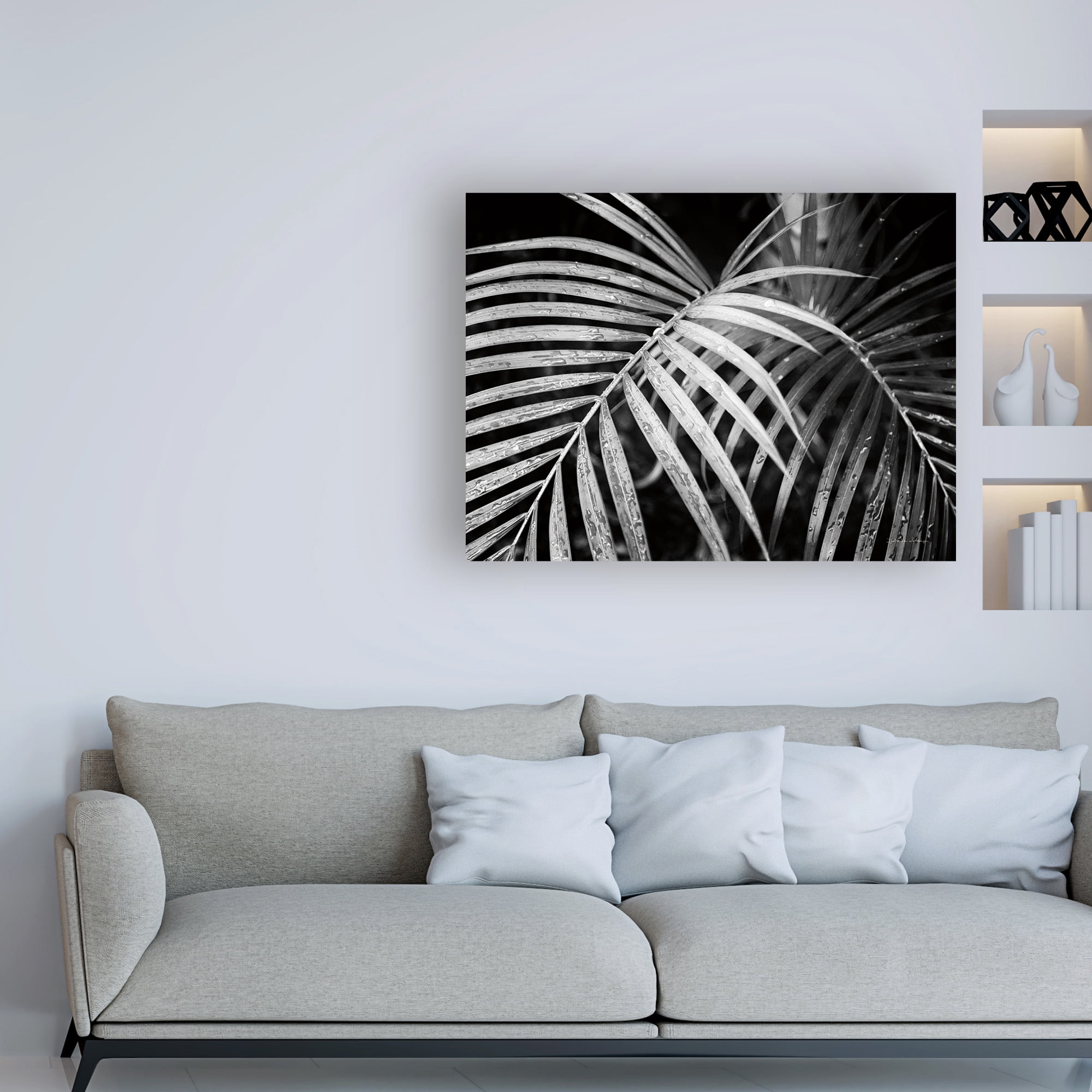 Trademark Fine Art 'Palm Fronds Black And White' Canvas Art by Debra Van Swearingen