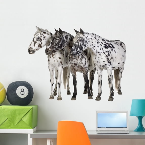 Appaloosa H)orse Wall Decal Sticker by Wallmonkeys Vinyl Peel and Stick Graphic (36 in W x 28 in H)