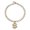 Gold L, variant on Pet Outfit Accessory Necklace, Money-Sign Pattern, Cats Costume Outfits Accessories, Metal Link Chain, 1 Pc Styling Piece for Home Use