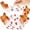 F Home Decor, variant on Limited Time Deal karymi Polygonal Gift Box Surprise Box Flying Box Butterflies Box Explosion Holiday Gift Box Mens Gifts up to 70% off Weekly Deal