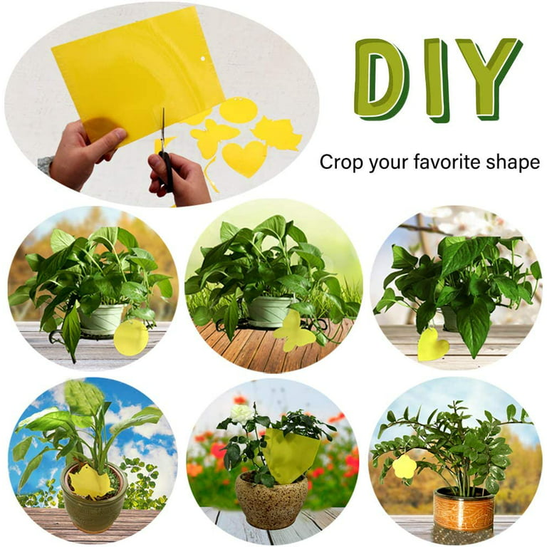 24Pcs Yellow Stick Fly Catcher, Yellow Boards Fungus Gnats Fight Indoor  Plants Potted Plants Yellow Stick, Waterproof Yellow Trap Mosquito Trap  Sticky Trap for Fruit Flies Mosquitoes Aphids Nematodes 