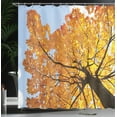 thumbnail image 4 of Ambesonne Tree Shower Curtain, Maple Leaves Fall Autumn, 69"Wx75"L, Orange Blue, 4 of 5