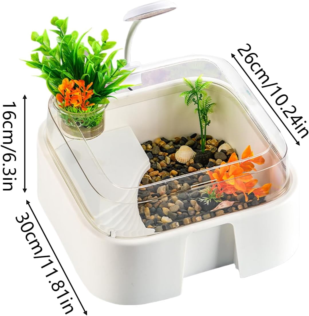 Tortoise Tank Set with Lighting, Artificial Plants, Stones, Raised Curved Design for Indoor