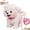 White-pink, variant on Robot Dogs Realistic, Interactive Walking Plush Puppy Toy Dog with Touch Sensing, Sounds, Voice Mimic, Tongue & Licking Motion (Brown)