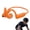 Orange, variant on ClearHook PovBuds Pro, Bone Conduction Headphones with Camera, Open-Ear Bluetooth Earbuds, 1080P POV Video Recording, AI Assistant & Real-Time Translation for Sports, Work & Travel
