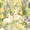 Yellow Floral Rabbit, variant on Yayeee Garden Flag 12"x18" Double Sided Outdoor Yard Lawn Holiday Decorations, Pink Christmas Trees
