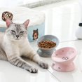 thumbnail image 4 of Cat Bowls Sweejar Ceramic, porcelana inclinada en relieve (rosa), 4 of 6
