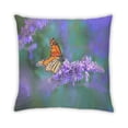 thumbnail image 2 of Ahgly Company Insects Butterfly Indoor Throw Pillow, 18 inch by 18 inch, 2 of 6