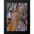 thumbnail image 2 of Fitzharris, Tim 14x18 Black Modern Framed Museum Art Print Titled - Yellow Cedar Trunk, 2 of 5