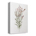 thumbnail image 2 of Dainty Botanical II Premium Gallery Wrapped Canvas - Ready to Hang, 2 of 9